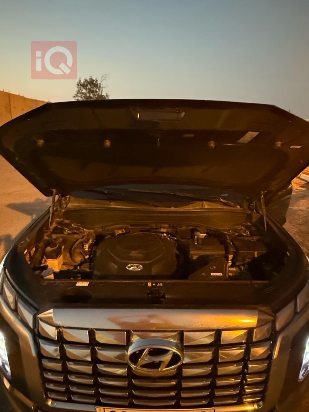 هیۆندای پالیسەید